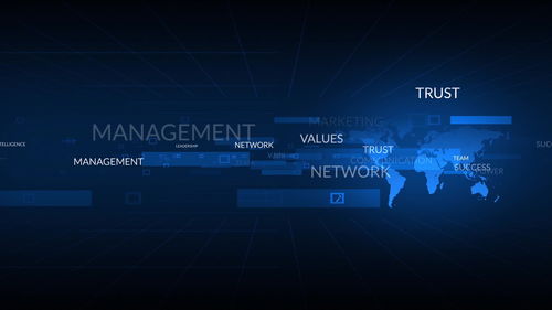 不符合重點(diǎn)軟件企業(yè)標(biāo)準(zhǔn)，網(wǎng)絡(luò)技術(shù)服務(wù)企業(yè)稅收優(yōu)惠力度下降的挑戰(zhàn)與應(yīng)對(duì)